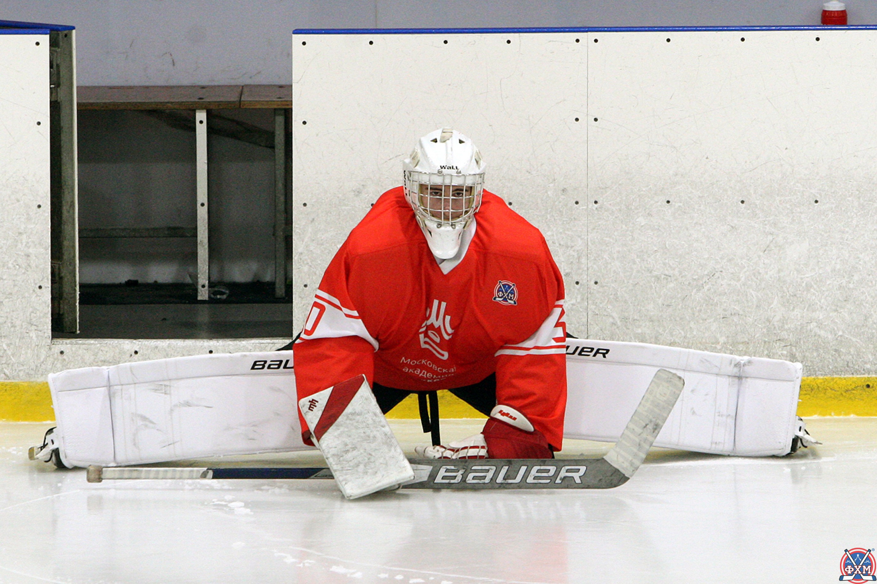 Хоккей 2007 игра. Кольцов хоккей 2007. Московская Академия хоккея 2007 логотип.